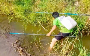 Dí xuyệt điện xuống kênh là cắt luôn đường sống của mình