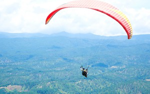 Bay dù lượn từ đỉnh Lang Biang Đà Lạt đến cây thông cô đơn