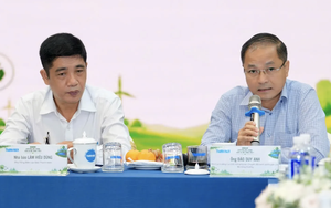 Khi châu Âu cần điều hòa, quạt máy, 'luật chơi xanh' cũng thay đổi