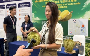 Hàng triệu đơn hàng sầu riêng Việt Nam qua sóng 'livestream' tại thị trường Trung Quốc
