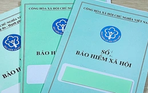 TP.HCM: 100 doanh nghiệp chậm đóng BHXH hơn 869 tỉ đồng, có nơi nợ hơn 10 năm