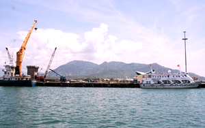 Dân bị ‘ngâm’ hồ sơ chuyển đất ở, phường trả lời do không có file quy hoạch của tỉnh để kiểm tra