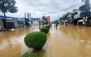 Khánh Hòa giao các trường chủ động cho học sinh nghỉ học khi mưa lớn, lũ lụt