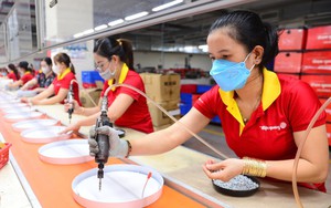 Giải thể doanh nghiệp khó: nhìn từ công thức 90 + 9 + 1 của Singapore