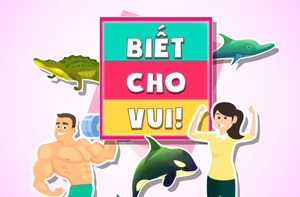 Biết cho vui: những điều thú vị nho nhỏ trong cuộc sống mà có thể bạn đã biết