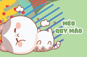 Năm Quý Mão kể chuyện mèo