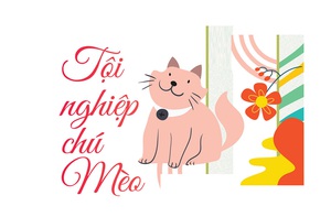 Tội nghiệp chú mèo