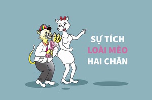 Sự tích loài mèo hai chân