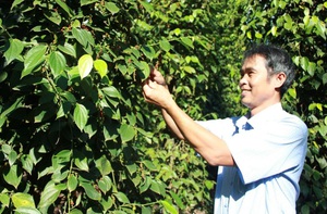 Đồng Nai xây dựng nông thôn mới, nâng tầm cuộc sống người dân