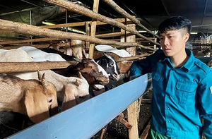 Đồng Nai đẩy mạnh bảo vệ môi trường trong chăn nuôi