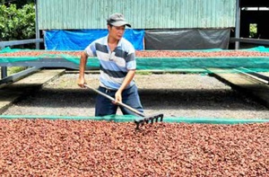 Đồng Nai: 'Xây dựng nông thôn mới' về đích sớm