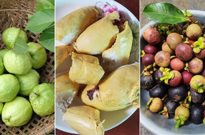 Tết Đoan ngọ, vòng quanh miền Tây thưởng thức mùa trái cây chín mọng