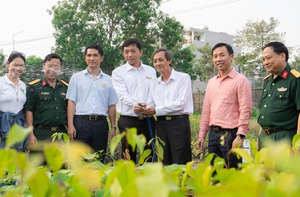 Một triệu cây xanh vì biển đảo Tổ quốc