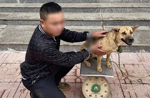 Ảnh vui 27-10: Bị cáo và bị hại