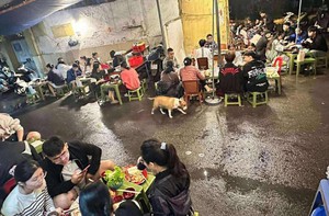 Ảnh vui 4-11: Cậu Vàng 'hot' nhất mạng xã hội lúc này