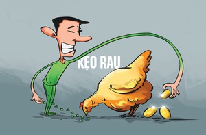 Thực phẩm chức năng: Gà đẻ trứng vàng của KOL?