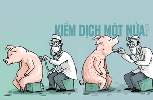Kiểm dịch động vật: Chú heo bị bệnh... một nửa!