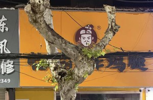 Ảnh vui 8-1: 'Oh wow! Nó ba-lê mà nó cũng yoga làm sao?!'