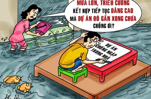 Dự án chống ngập... từ trong nhà