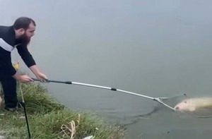Cần thủ chán không buồn nói khi để sổng cá khủng