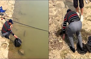 Con cá chán chường với cuộc sống, bơi lại gần bờ cho cần thủ bắt