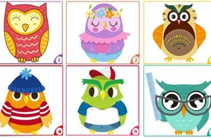 Quiz: Chọn một chú cú để khám phá con người thật của bạn