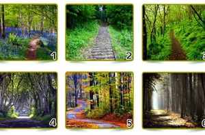 Quiz: Tính cách nổi bật nhất của bạn là gì?