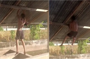 Tập kéo xà đơn kết hợp với thiết đầu công