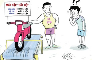 Ba mức tập gym 'bao phê' cho dân văn phòng