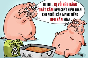 Ai đã ăn phải 10.000 tấn heo sử dụng chất cấm?