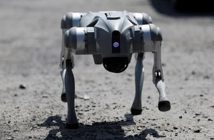Chó robot sẽ hỗ trợ cảnh sát Mexico tại World Cup 2026