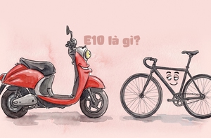 Những kẻ thờ ơ với xăng E10