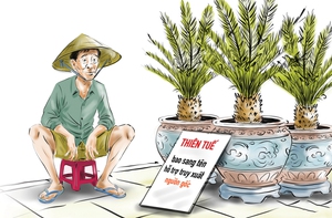 Shop cây kiểng hỗ trợ truy xuất nguồn gốc