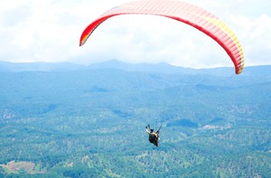 Bay dù lượn từ đỉnh Lang Biang Đà Lạt đến cây thông cô đơn