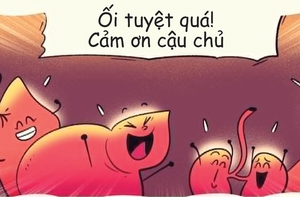 Lục phủ ngũ tạng cảm ơn cậu chủ đã cung cấp 'thần dược'