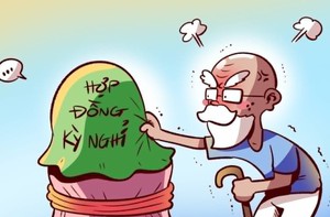 Cụ già hưu trí ăn nhầm quả 'đào lửa'