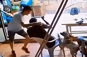 Chàng trai khốn khổ với 'chó nhà em ngoan lắm, không cắn đâu'