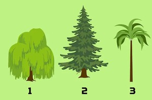 Quiz: Bạn bình tĩnh và hiếm khi bốc đồng?