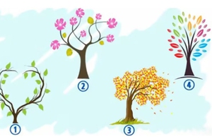 Quiz: Cảm xúc nào đang chi phối cuộc sống của bạn?