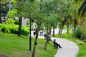 Đừng để công viên xanh thành 'ốc đảo'