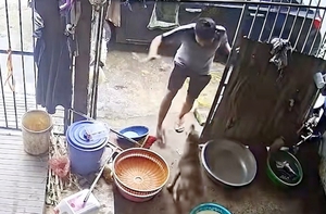 Chó hàng xóm qua ăn vụng còn định táp luôn chủ nhà