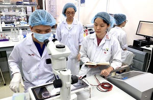 Cần khung chính sách hoàn chỉnh về hạ tầng tri thức số quốc gia