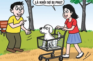 Cách đưa chó đi dạo đỡ 'đau ví' nhất