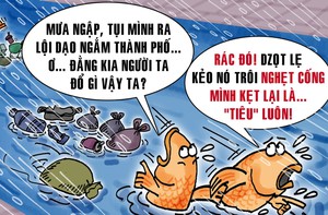 Đi 'du lịch' sau cơn mưa lớn, lũ cá phát hiện thói quen xấu