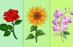 Quiz: Phẩm chất nào giúp bạn biến ước mơ thành hiện thực?