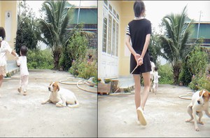 Chú chó cảnh giác tột độ khi thấy cô chủ cầm roi