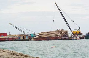 Đà Nẵng: 19 thuyền viên trên tàu ĐNa 90231 đã về nhà an toàn