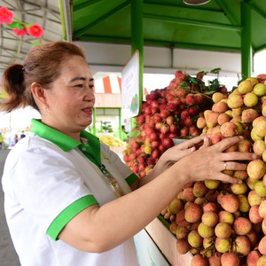 Trăm thức quả tại lễ hội trái cây Suối Tiên, miễn phí cho thiếu nhi ngày 1-6