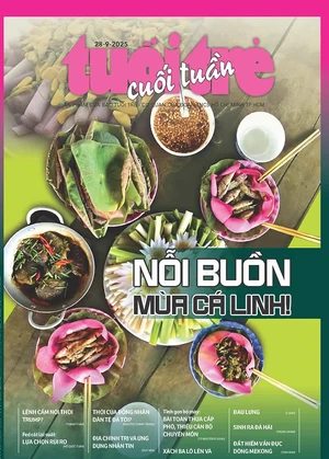 Tuổi Trẻ Cuối Tuần số 37-2025: Nỗi buồn mùa cá linh