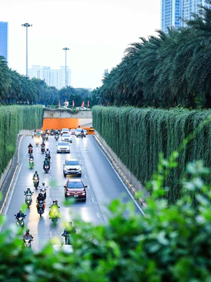 Hình ảnh trụ đường sắt đô thị, hầm chui ở Hà Nội được phủ cây xanh, thêm mảng xanh cho thành phố